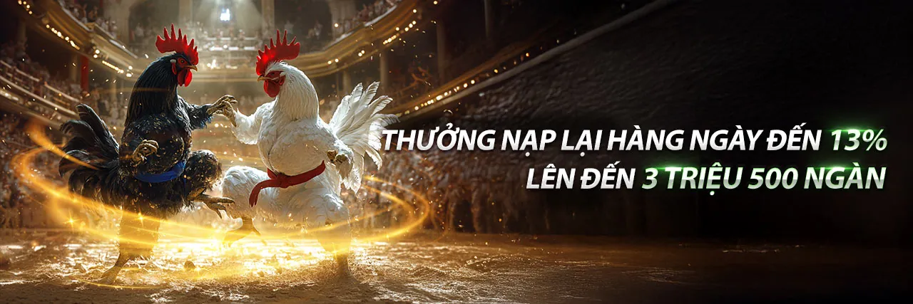 Trận đá gà kịch tính trên nền tảng f168 Android